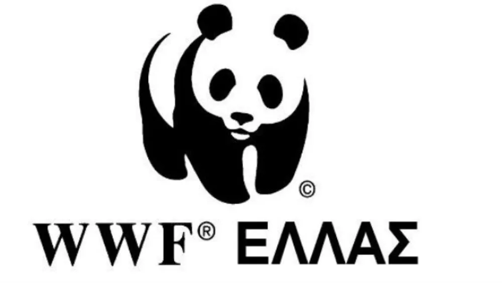 WWF: Το 50% της θαλάσσιας ζωής έχει εξαφανιστεί