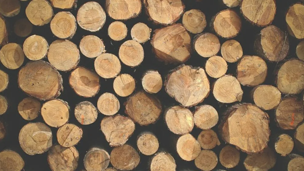 Ακριβότερα τα καυσόξυλα λόγω ΦΠΑ