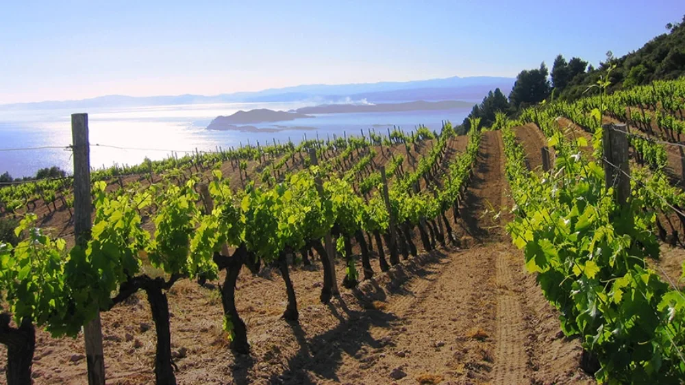 Ο ελληνικός οίνος στην Ιαπωνία κατά το πρώτο επτάμηνο 2016