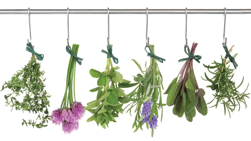 Τα ελληνικά αρωματικά-φαρμακευτικά φυτά στην καθημερινή διατροφή