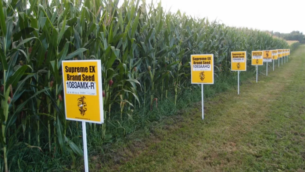 Έξι πράγματα που μπορεί να θέλετε να μάθετε για τους ΓΤΟ