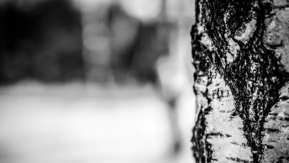 Έκτακτο δελτίο επιδείνωσης καιρού