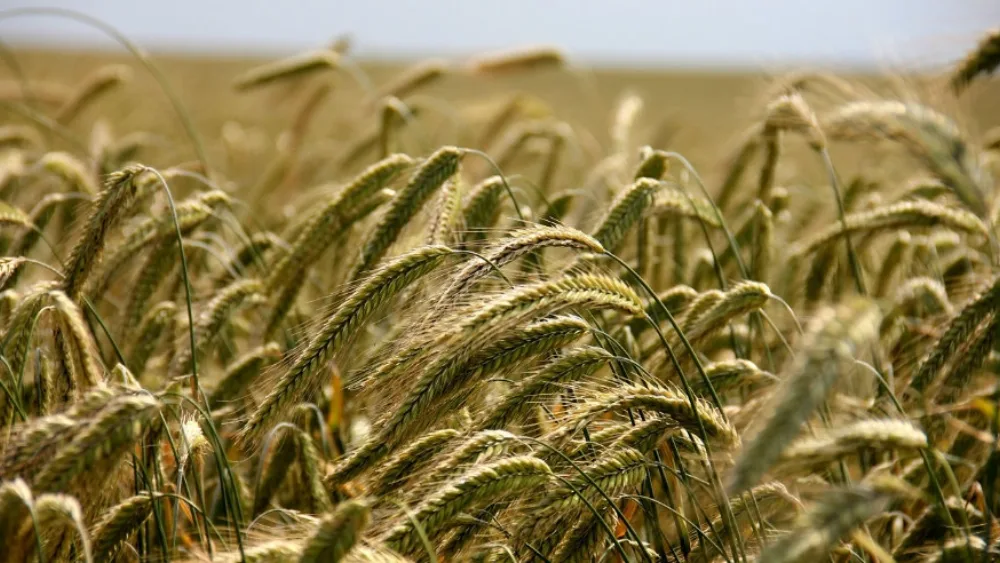 ΕΕ: Πάνω από 100 εκατ. ευρώ για την προώθηση της ευρωπαϊκής γεωργίας το 2016