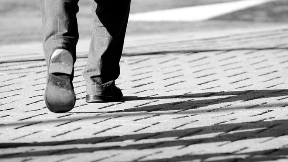 Τα 7 «πράσινα» επαγγέλματα με προοπτικές