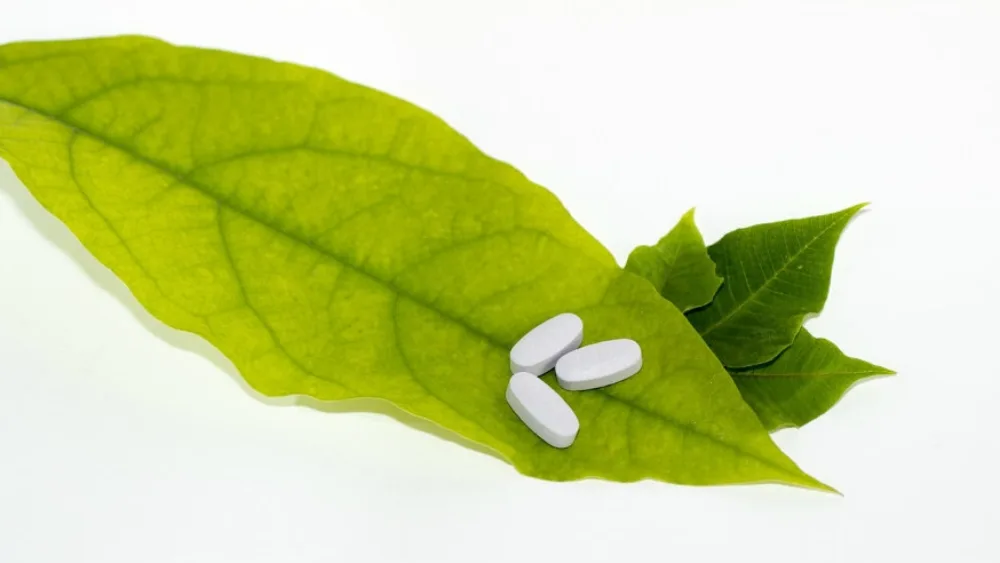 Νέες Ρυθμίσεις επαγγέλματος φαρμακοποιού – Ίδρυση φαρμακείου