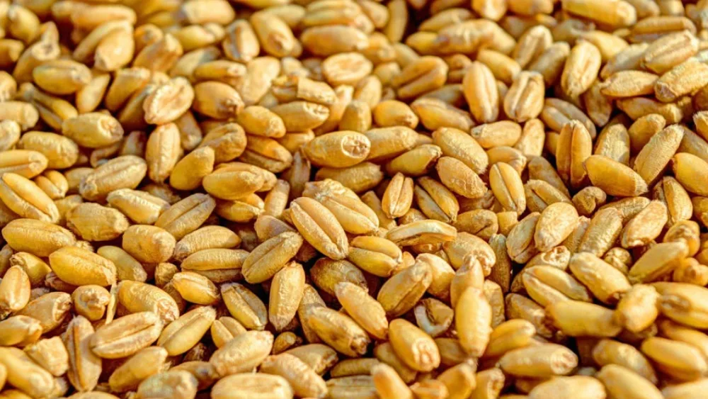 Πρεμιέρα για το Κέντρο Αγροδιατροφικής Επιχειρηματικότητας Μεσσηνίας