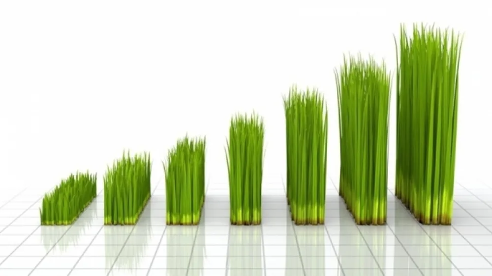 "Χρηματοδότηση Επενδύσεων στο Τομέα της Ενέργειας από Συγχρηματοδοτούμενα Προγράμματα και το Νέο ΕΣΠΑ" από το ΠΑΠΕΙ