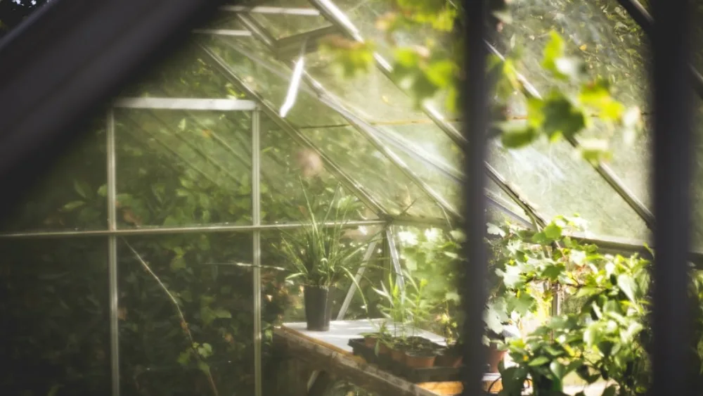 Αυξημένο ενδιαφέρον για την κατασκευή θερμοκηπίων για την παραγωγή φρούτων και λαχανικών στη Ρωσία