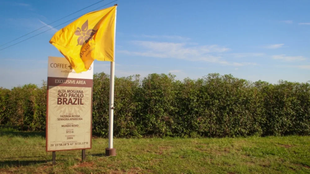 Η Coffee Island απέκτησε Αποκλειστική Ζώνη καφέ στη Βραζιλία