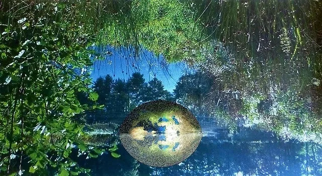 Όλα όσα πρέπει να ξέρετε για το Οικολογικό σήμα της ΕΕ (Ecolabel)