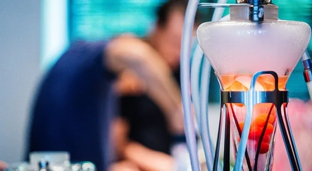 Αποκλειστική Συνεργασία για τα ξενοδοχεία της bluegr Hotels & Resorts σε Αθήνα και Άγιο Νικόλαο με την Meduse