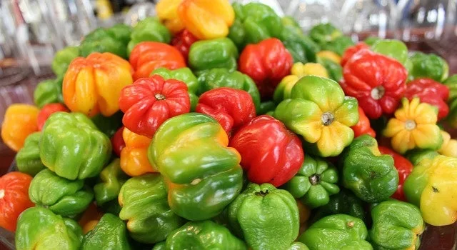 Δωρεάν Διανομή Οπωροκηπευτικών στην Αλεξανδρούπολη