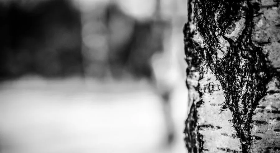 Έκτακτο δελτίο επιδείνωσης καιρού