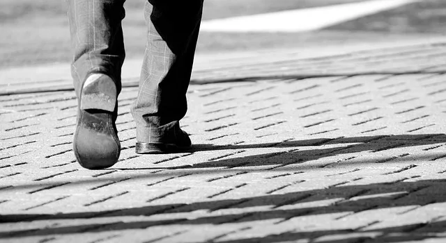 Τα 7 «πράσινα» επαγγέλματα με προοπτικές