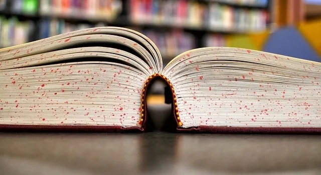 Υποτροφίες έως 9.000 ευρώ για μεταπτυχιακά από το Ίδρυμα Λ. Βουδούρη