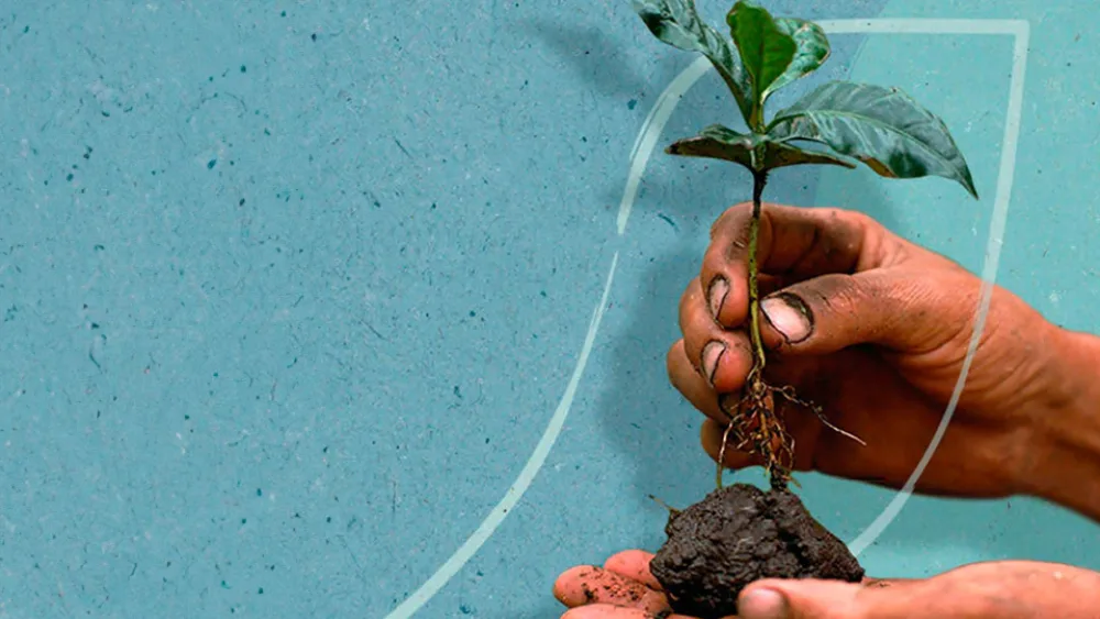 Τι ξέρει ο Jack Daniel’s και η Nescafé για την αναγεννητική γεωργία;