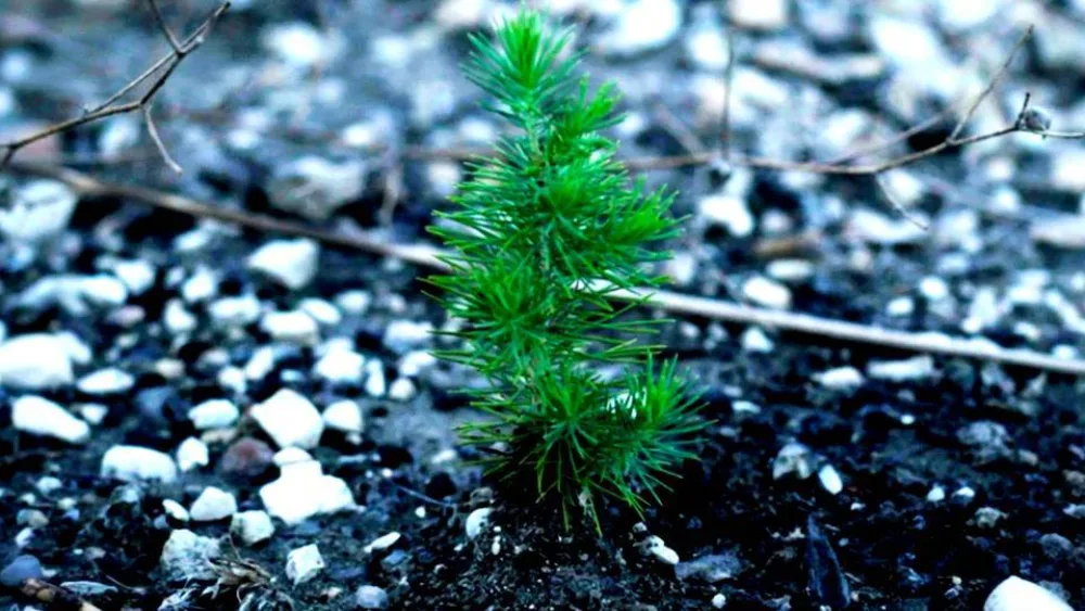 Ολοκληρώθηκε η πρωτοβουλία του ΙΣΝ για τη στήριξη της Βόρειας Εύβοιας