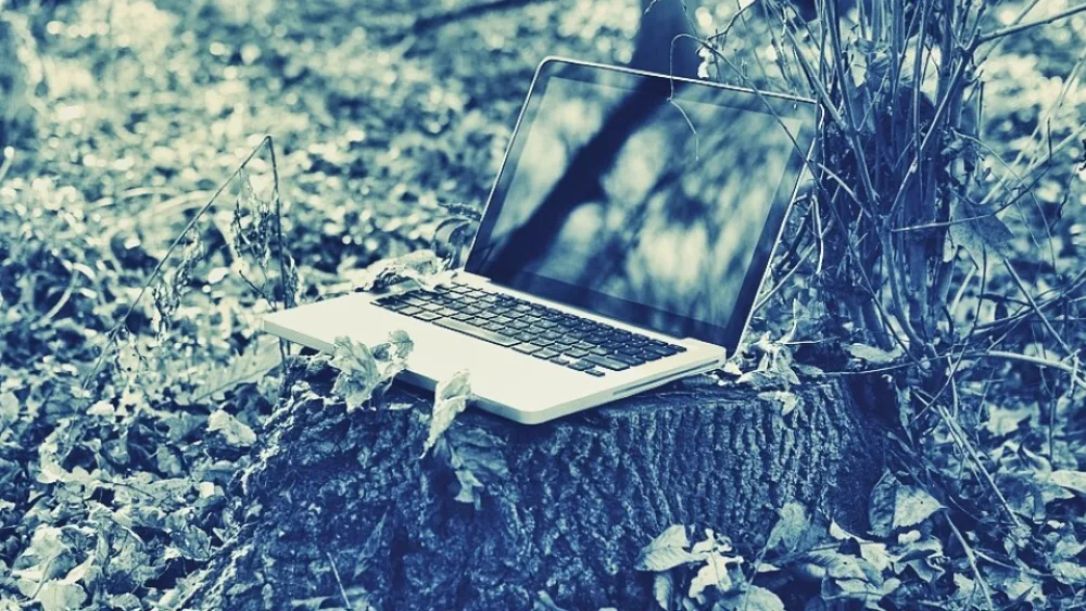 Κρυμμένο σε κοινή θέα