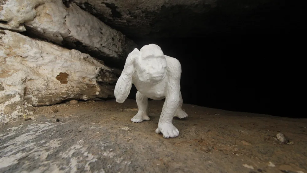 ZIG ZAG Festival 2022: Μια συνομιλία Τέχνης και Περιβάλλοντος