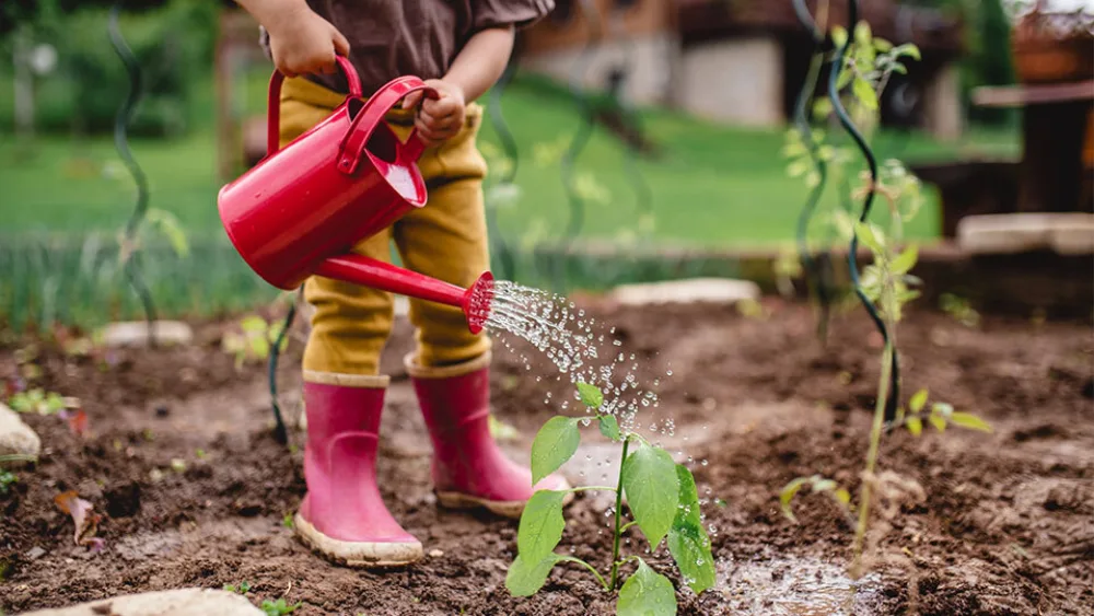 Διαδοχικές χρηματοδοτήσεις με την υποστήριξη της AFI