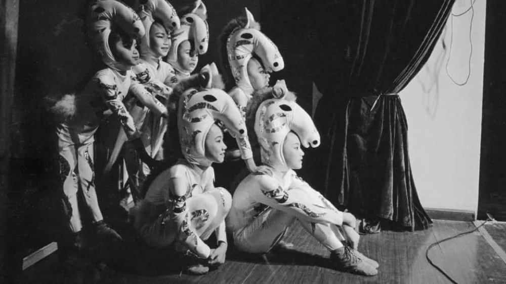 10.000 φωτογραφίες "βγαλμένες από σπίτι των πεταλούδων”