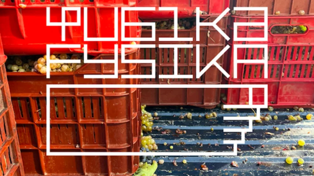 Φυσικά Fysika: Τι κάνουν 80 κρασιά μέσα σε ένα γήπεδο μπάσκετ;