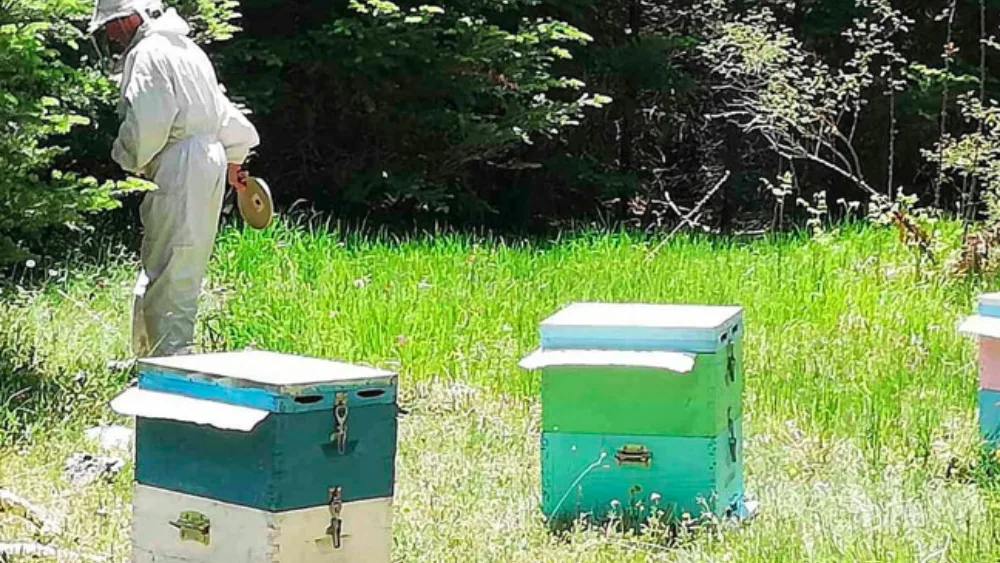 Βότανα, λουλούδια, μέλι και βιωσιμότητα