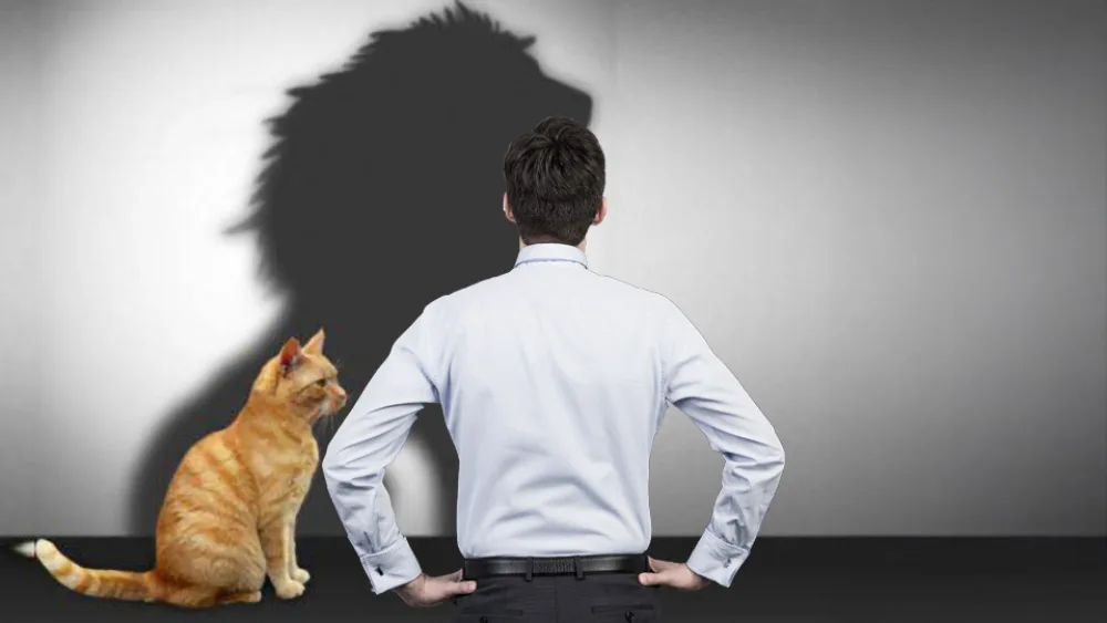 Όταν ένας CEO δίνει συνέντευξη για το τεράστιο «εγώ» του