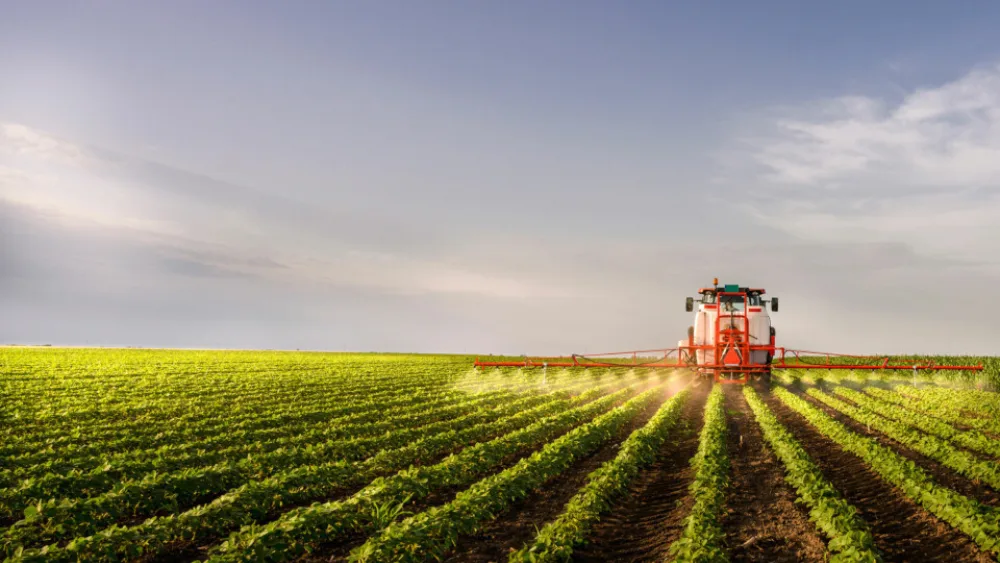 To «κανόνια ή βούτυρο» είναι το επόμενο δίλημμα της επιχειρηματικότητας