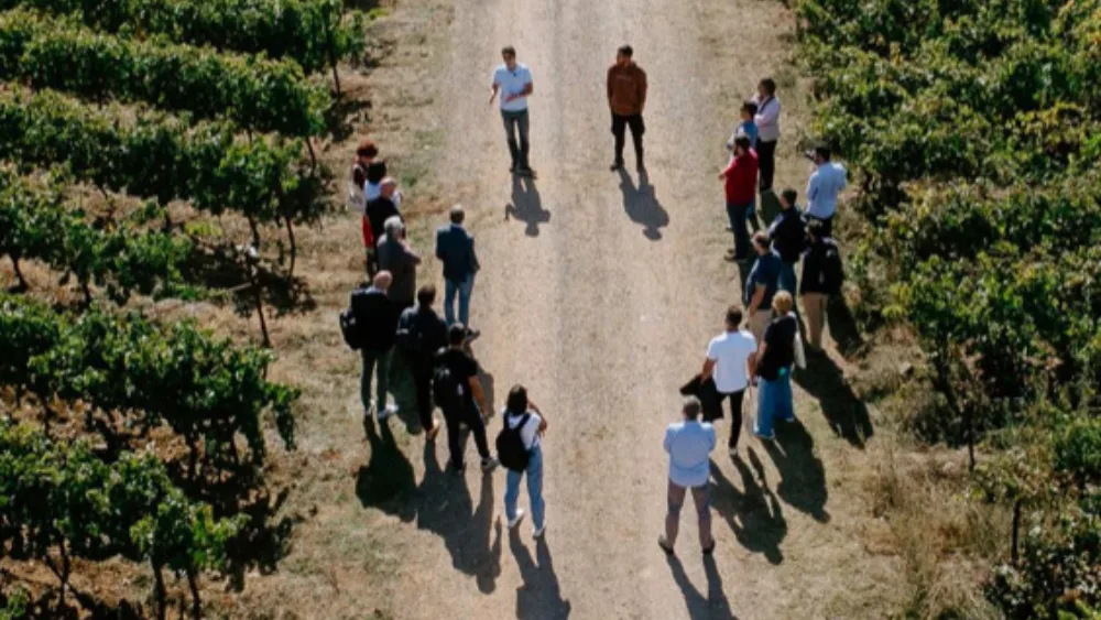 The Mantinians: Η Μαντινεία, το Μοσχοφίλερο και μια νέα ομάδα οινοποιών