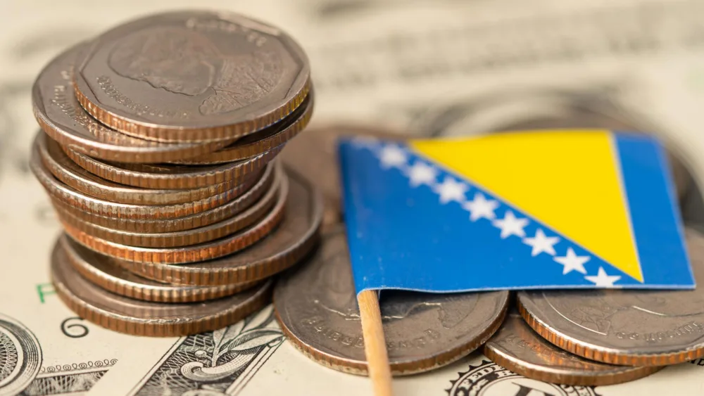 Οι Νομικές Μορφές Εταιριών στην Οικονομία της Βοσνίας - Ερζεγοβίνης