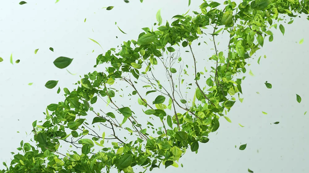 ESG: Από τη συμμόρφωση στη στρατηγική αξία