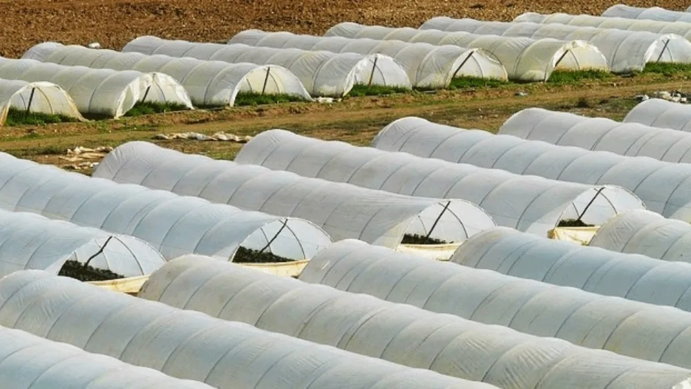 Εγγραφή της Π.Ε.Ν.Α. στο Ευρωπαϊκό Συμβούλιο Νέων Αγροτών