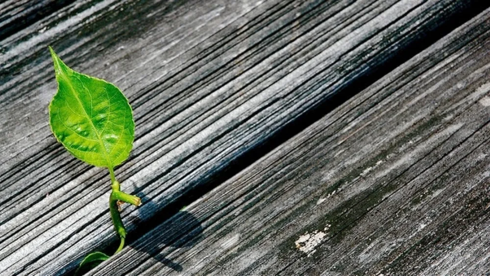 Λιγότερες startup επιχειρήσεις στο Βέλγιο το 2013