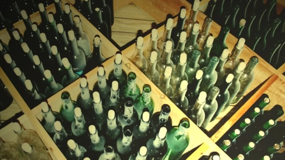 Σε άνθηση ο κλάδος βιολογικού κρασιού στην Ιταλία