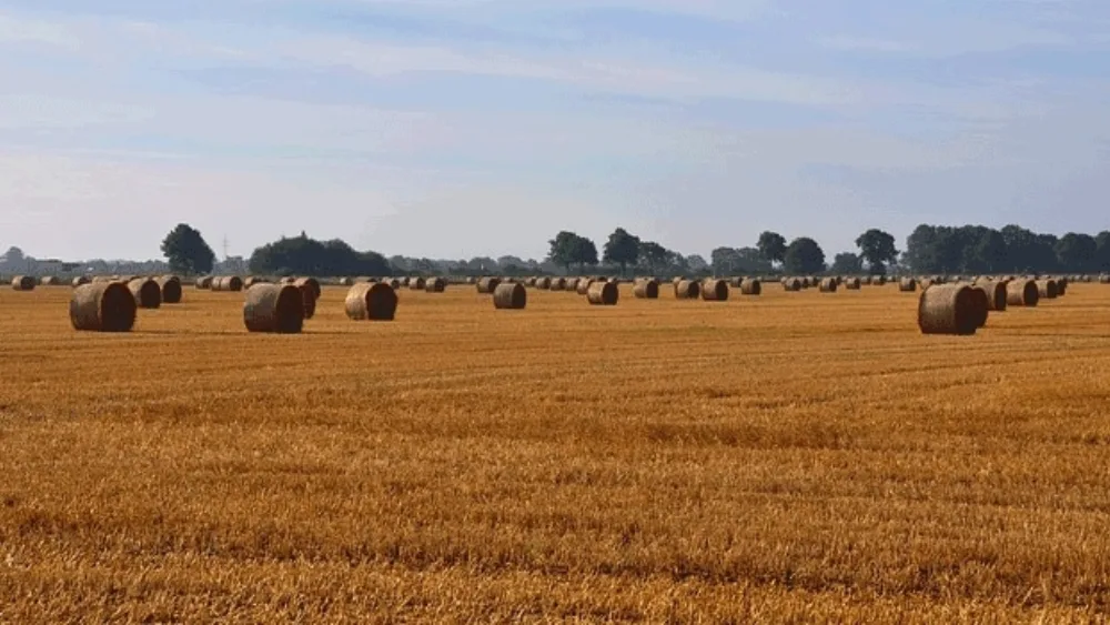 Εγκρίθηκαν από το ΥπΑΑΤ 13 νέα επενδυτικά σχέδια στον αγροτικό τομέα