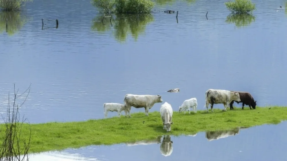 H ΕΕ προτείνει μέτρα για να βοηθήσει την Ιταλία, την Ελλάδα, τη Σλοβενία και την Κροατία να αντιμετωπίσουν καταστροφές από κακές καιρικές συνθήκες