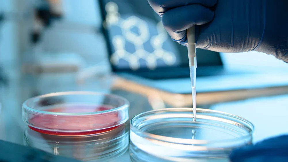 Μελέτη για την Έρευνα και την Καινοτομία στην Ελλάδα από τη διαΝΕΟσις​ και το DIW Berlin