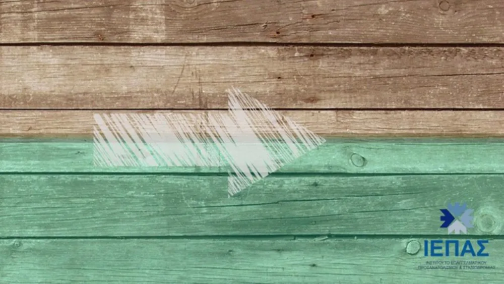 Ανάπτυξη & Επαγγελματικός Προσανατολισμός: Μια παραγωγική σχέση