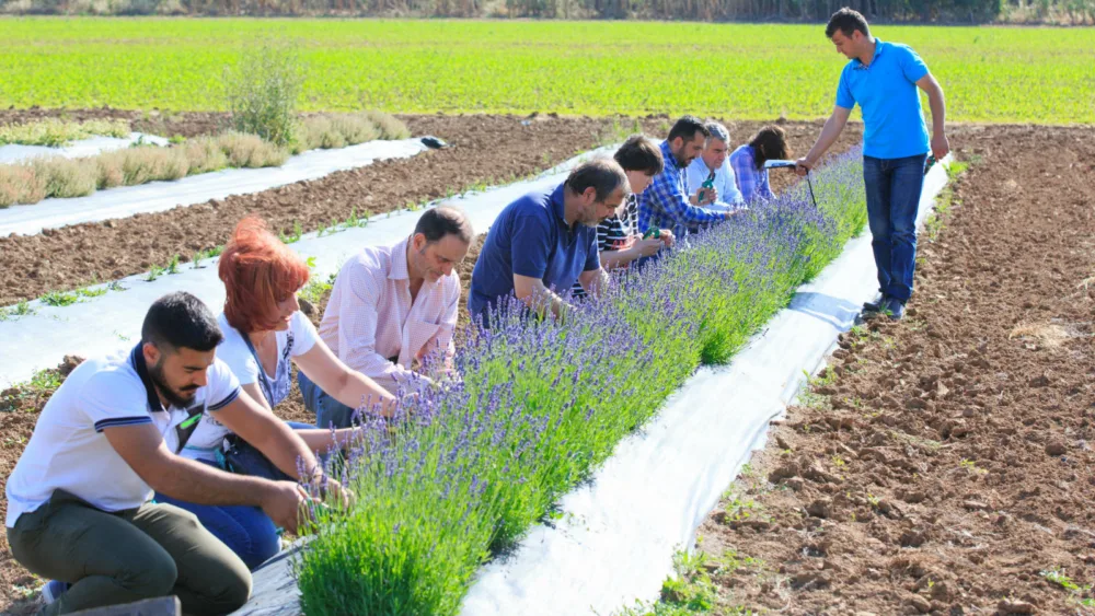 Ξεκινούν οι εγγραφές για τα  Προγράμματα Εκπαίδευσης Ενηλίκων  της Αμερικανικής Γεωργικής Σχολής