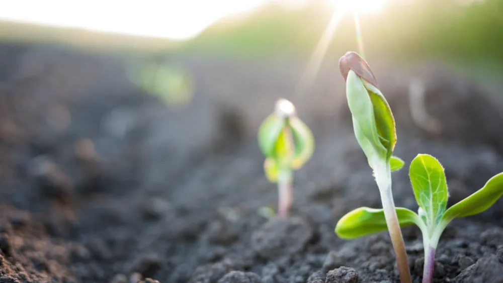 Infobank Hellastat: Ικανοποιητική ζήτηση το 2016 – Πρόβλημα εξακολουθούν να αποτελούν τα παράνομα αγροχημικά