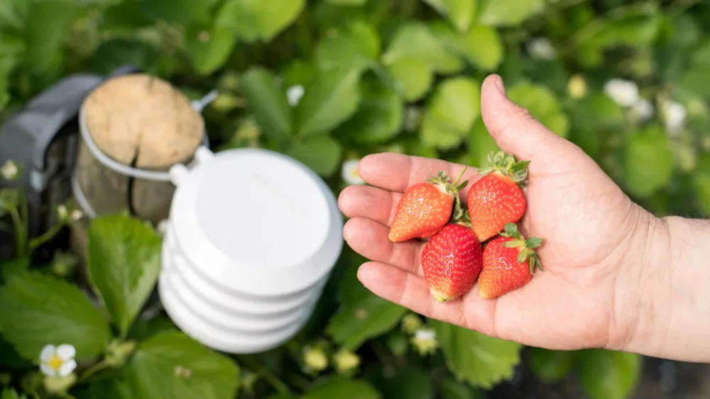 Έξυπνη γεωργία από την Bosch στην Agrotica 2018