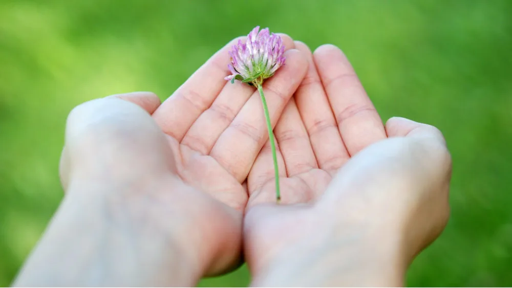 ΙΣΝ: Το κόστος υλοποίησης της πρωτοβουλίας για την υγεία θα υπερβεί τα €400 εκατομμύρια