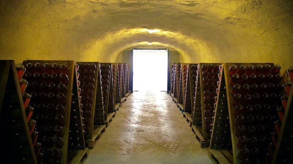 Grape Escape: Ο νέος «προορισμός» για τους λάτρεις του Ελληνικού κρασιού!