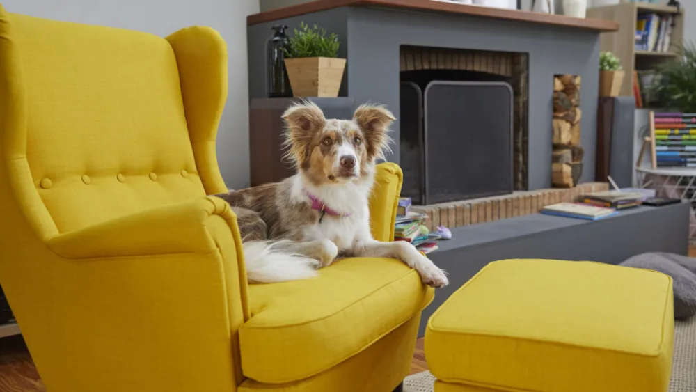 IKEA: Τρία βραβεία στα Retail Business Awards 2020