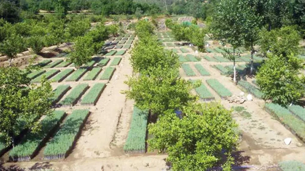 Το Πακιστάν «επιτυγχάνει στόχο του ΟΗΕ για το κλίμα 10 χρόνια πριν από την προθεσμία»