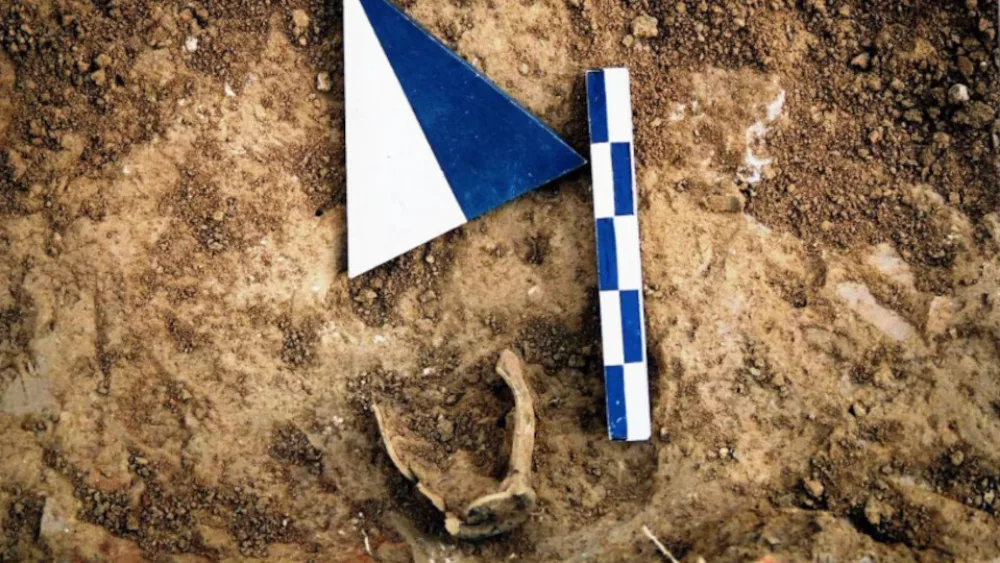 Τι αποκάλυψε η αρχαιολογική έρευνα στο Ιερό του Ελικωνίου Ποσειδώνα