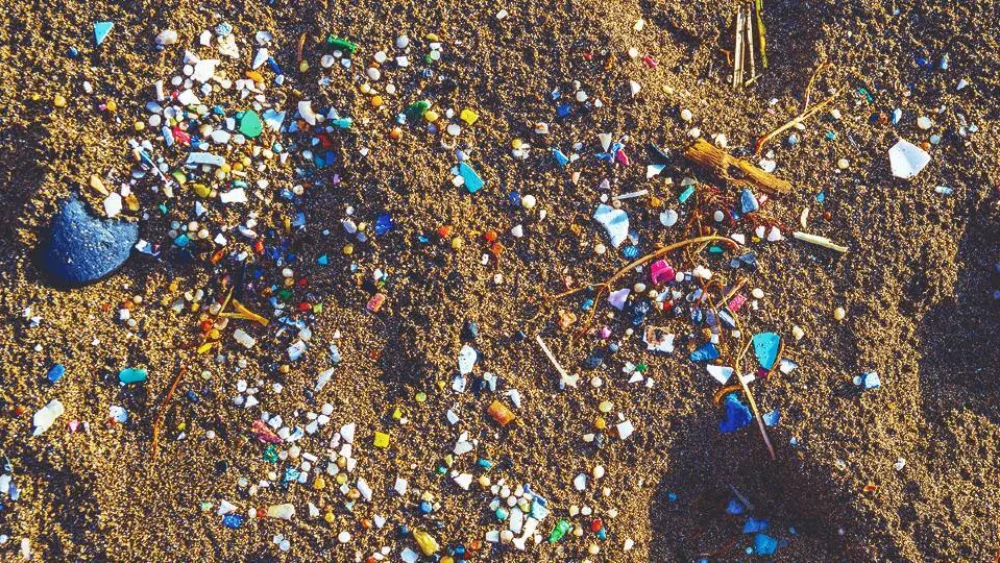 Καθαρισμός παραλίας ΣΕΦ από το Yes Forum