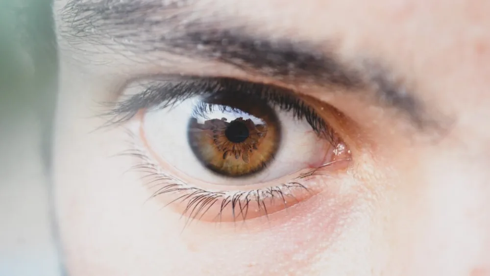 Την Alcon Laboratories Hellas πιστοποίησε η TÜV Hellas (TÜV Nord)