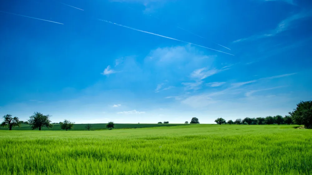 ΔΥΠΑ: Αιτήσεις για δωρεάν κατάρτιση στον αγροτικό τομέα - Κλάδεμα δενδρωδών καλλιεργειών